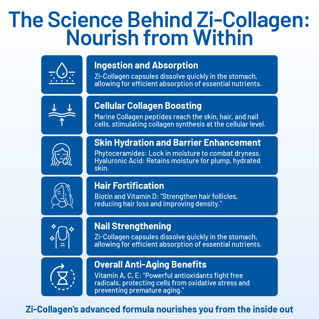 6 Bottles - Zi-Collagen | Save 20% + Free Shipping | Best Value